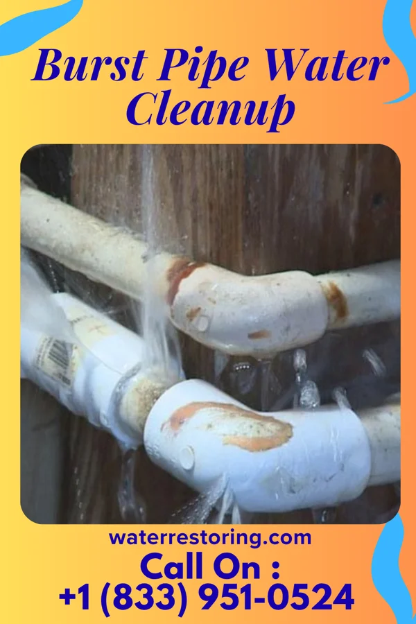 Burst Pipe Water Cleanup in Noank, CT