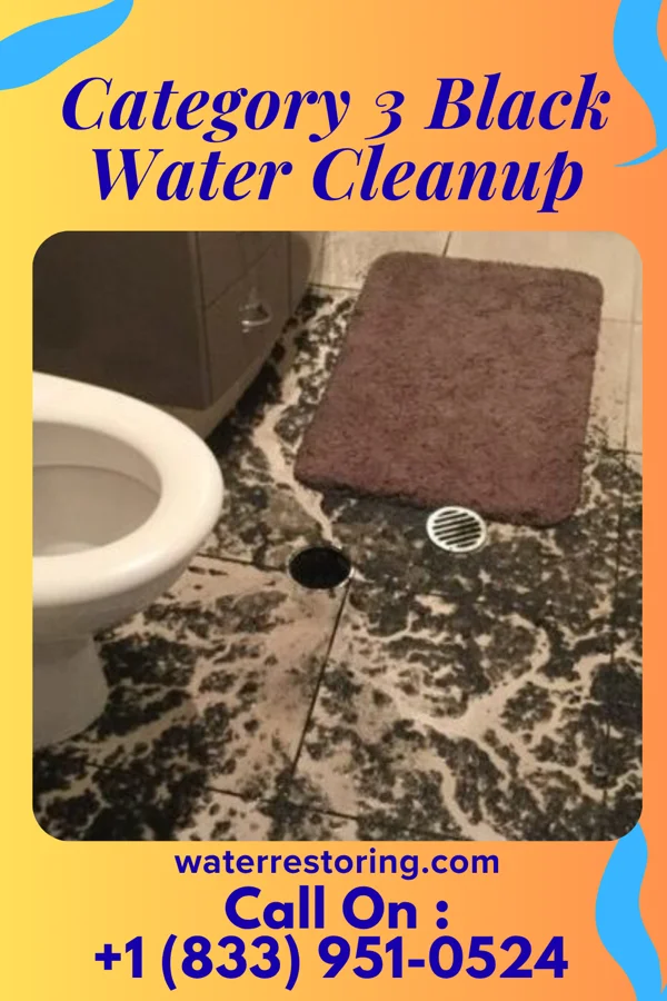 Category 3 Black Water Cleanup in Noank, CT