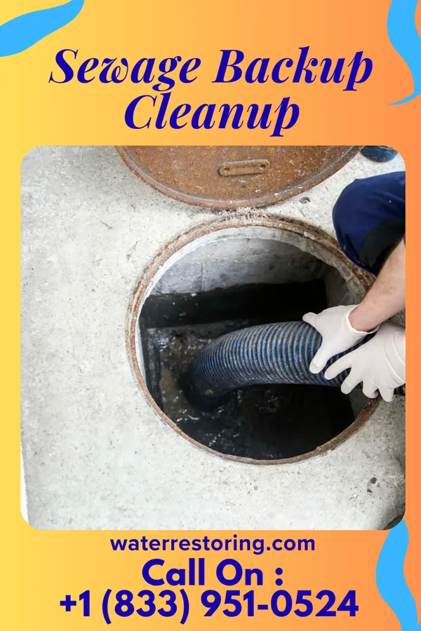 Sewage Backup Cleanup in Noank, CT