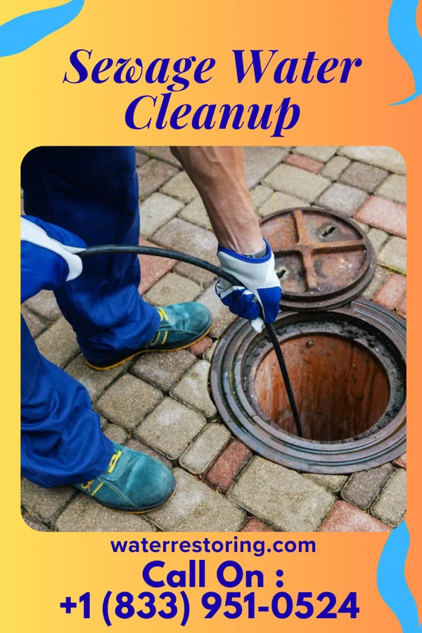 Sewage Water Cleanup in Noank, CT